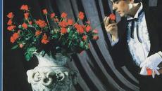 Chasseur d'ivoire - Videoclip.bg