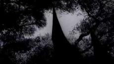 American Horror Story: Coven - Opening Intro - Videoclip.bg