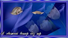 Пожелание!  Для тебя!  Пусть счастье будет близко близко! - Videoclip.bg