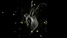 Не искам без теб! Duet Blake Shelton - Gwen Stefani Nobody But You - Videoclip.bg