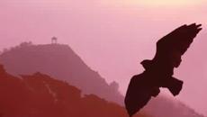 Pan Flute Instrumental Worldhits Vol 2 El Condor Pasa - Videoclip.bg