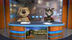 Talking Tom and Ben News Времето и глупостта (27/10/2011г.) - Videoclip.bg
