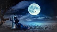 Щурците - Звезден час - Videoclip.bg