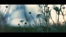 Страхотен ремикс! A R D I ft Leolani - The Light Original Mix - Videoclip.bg