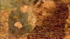 Βαλάντης - Μήπως ρώτησε για μένα - да не би да пита за мен - Videoclip.bg