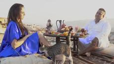 Наско Ментата и Злати - Спомена за теб - Videoclip.bg