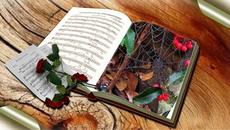 Виктор Горшков   -   Немного жаль. - Videoclip.bg