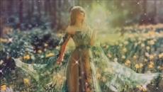 ROMANTIC  GUITAR MUSIC ( Claude Ciari - Le vert galant) - Videoclip.bg