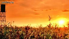 Γιάννης Πλούταρχος - Θανατηφόρες Δόσεις - смъртни дози - Videoclip.bg