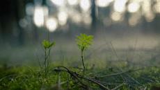 Камен Тодоров – „Не повтаряй: „Днес не мога!“ (поезия) - Videoclip.bg