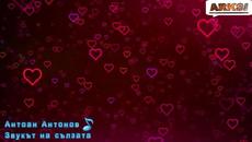 ЗВУКА НА СЪЛЗАТА - Videoclip.bg