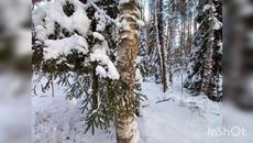 Алина Гросу - Холодно на морозе песни петь.  Счастья в Новом Году!!! - Videoclip.bg