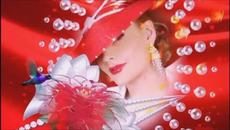 Engelbert Humperdinck- Red Roses For My Lady - Превод - Videoclip.bg