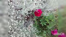 Небо я всегда благодарю... - Videoclip.bg