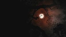 Thomas Bergersen - Avalanche - Videoclip.bg