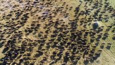 Arksi - Africa - Videoclip.bg