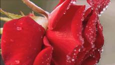 Javier Canto - Rosas Rojas ( romantic sax music) - Videoclip.bg