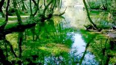 „Ako jednom vidiš Mariju“ – Miki Jevremović - Videoclip.bg