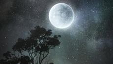 Maja Suput - Jedna Noc Instrumental Cover (Artwork 2020) - Videoclip.bg