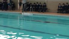 Plunge for Distance School Event (Breaks Olympic Record) - Videoclip.bg