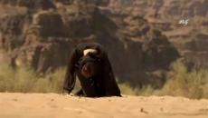 ❤ Pasxalis Terzis & Marina Manolakou - Arxipelagos ❤ ( Архипелаг ) ❤ ( Превод ) - Videoclip.bg