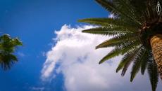 Аркси - Самотен поет (Стихове) - Videoclip.bg