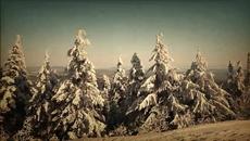 Srebrna Krila - Bozic Dolazi Instrumental Cover (Video 2021) - Videoclip.bg