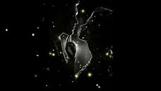 Duet Blake Shelton & Gwen Stefani ♛ Nobody But You Превод - Videoclip.bg