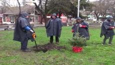 Доброто сърце - Коледните дръвчета в Бургас 2021 г. с нов живот - Videoclip.bg