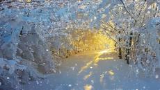 ❄️ Зима в гората ... (Музика Сергей Чекалин) ❄️ - Videoclip.bg