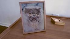 Travis - Nina's Song (Official Video) - Videoclip.bg