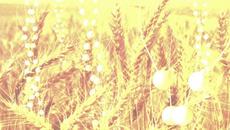 Breathe - Videoclip.bg