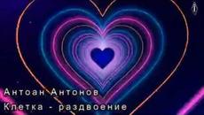 Антоан Антонов   Клетка раздвоение - Videoclip.bg