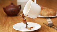 Ще бъдем ли отново Happy! Ще отворят ли ресторантите от 1 февруари 2021 г. - Videoclip.bg