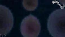 Νότης Σφακιανάκης - Από Το Φως Του Φεγγαριού - за светлината на луната - Videoclip.bg