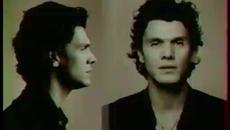 Clip C'est ça la France (Marc Lavoine) - Thierry Ardisson[via torchbrowser.com] - Videoclip.bg