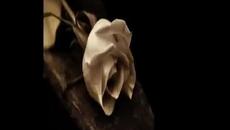Evanescence- Bring Me Back To Life - Videoclip.bg