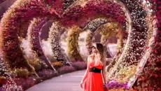 Joe Cocker  - You Are So Beautiful  (Ти си толкова красива) Bg.Превод - Videoclip.bg