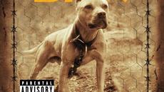 Where The Hood At - Videoclip.bg