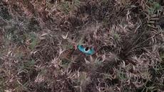 Milan Rakic - Vremeplov (Official Video 2021) - Videoclip.bg