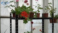 Мушкато с аромат на Кока-Кола и други чудатости в Ботаническата градина - Videoclip.bg