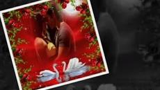 Arash feat Helena- Pure Love 2014 / много нежна песен - Videoclip.bg