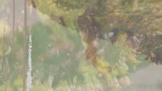 Really Did It This Time - Videoclip.bg