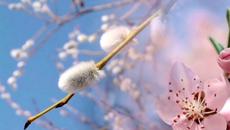 Христос воскресе! - Videoclip.bg