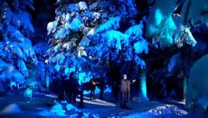 HALID BESLIC - HLADNO SUNCE ( OFFICIAL ARTWORK 2020 ) - Videoclip.bg