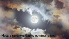 Arksi - Пленена (стихове) - Videoclip.bg