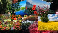 Игорь Ашуров  -  Очаровательная - Videoclip.bg