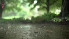 Антоан Антонов - When a blind man cries (cover) - Videoclip.bg