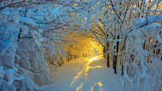 Проходът Шипка е отворен за движение при зимни условия - Videoclip.bg