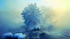 Голям сняг!!! В Област Добрич пътищата са затворени - Videoclip.bg